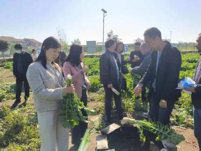 “黄州萝卜”成功拿证！