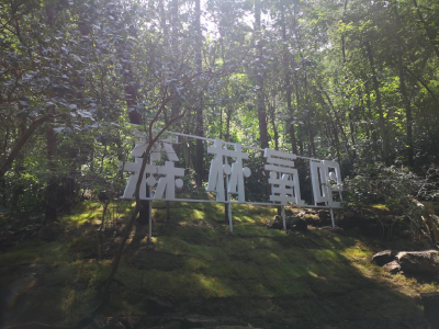 从避暑客到解锁“健康密码”新村民——武汉翁妪六载“钉”守大别山