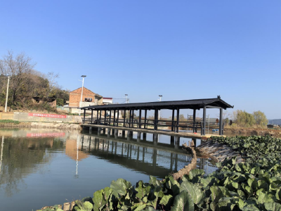 别再愁荒地啦！看武穴这个村把杂草窝变成“聚宝盆”