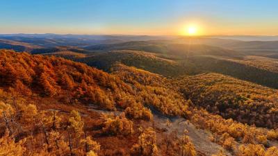 中国“调色盘”增新绿！森林覆盖率超25%