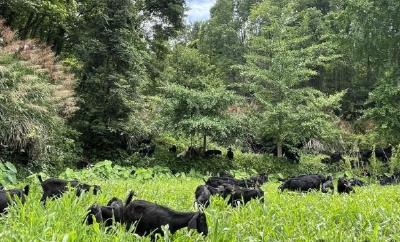 “圳品”敲开湾区门 “地图”导航引客来——黄冈以开放之姿赋能山货出山消费进山