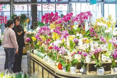 链接全球市场 向贸易强省跃升