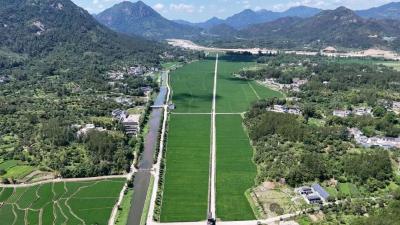 推进高标准农田建设 赋能种业高质量发展