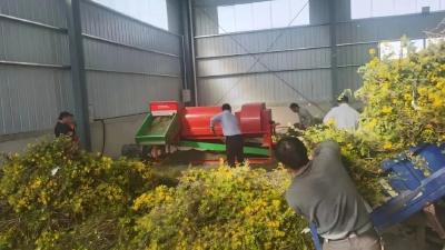 聚力建支点•一线直击| “沉睡资产”活起来 村民口袋鼓起来——黄冈市以规范交易体系激发乡村振兴新活力