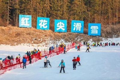 12月19日 早！黄冈 |来黄冈跨年！活动新鲜出炉◆恭喜，6人获得NOIP全国一等奖