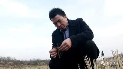 创业路上 | 潘新星：把AI+写在田野上