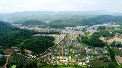 “山间珍味”变身“全球俏货”！随县“富民菇”藏着怎样的振兴密码？