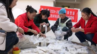 罗田县“学用贯通”电商培训项目成效显著