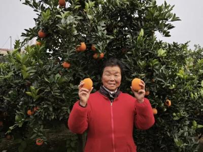 从枝头到心头！甜蜜在“云端”扩散