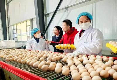 数字赋能消费 山货走向全国——黄冈以“放心消费”新生态激发市场活力