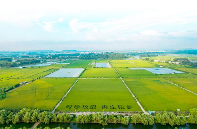 非凡“十四五”·聚力建支点 | 沃野千重浪  “链”动新黄冈 ——黄冈“十四五”农业高质量发展答卷璀璨