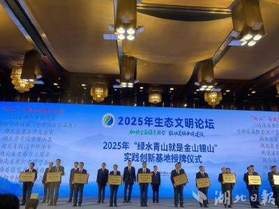 提升生态“含绿量” 壮大发展“含金量” 英山获评国家“两山”实践创新基地