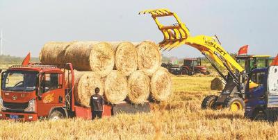 利用率超95% 显著高于全国平均水平——湖北秸秆综合利用迈向高值化