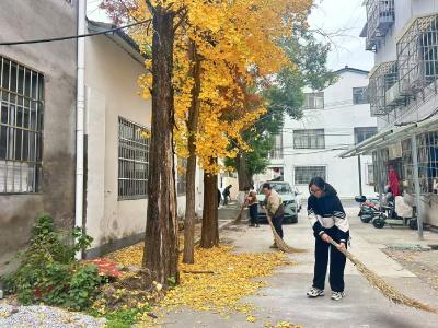300余人齐上阵！黄州东湖街道再掀人居环境整治热潮
