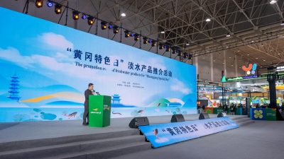 “黄冈好鱼”亮相省农博会吸金超亿元