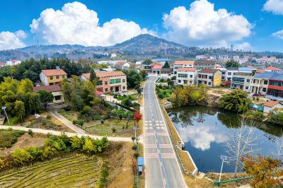 一路一景绘振兴——黄州区以党建为引领打造美丽农村路新“途”景