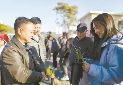 大别深山育“仙草” 兰香漫染振兴路  罗田以兰花产业为媒激活绿色发展新动能