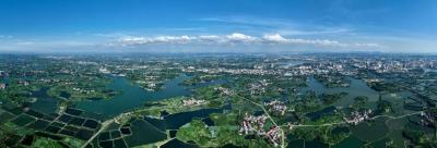 示范的力量：看路口镇如何用“身边榜样”点燃全民整治热情