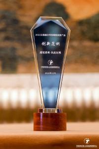 喜报！《遇见黄州·从此东坡》荣获2025年文旅融合科技赋能产品全国创新范例