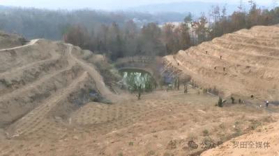 罗田：冬季药材种植忙 产业发展有保障