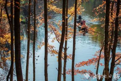 蕲春塔林的秋天，让人不愿离开
