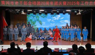 黄冈市老干部合唱团20周年团庆暨2025年工作总结汇报联欢会举行 