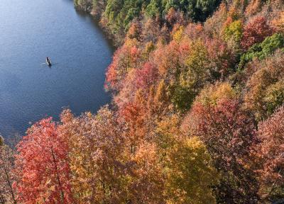 九潭冲大峡谷红枫绚烂成景