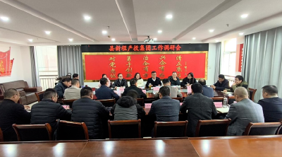 团风新程产投集团为县域经济高质量发展注入国企动能