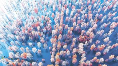 涨渡湖美景宛如仙境