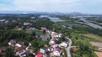 5年7倍增收！跟着王涛看楼岗的逆袭之路