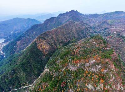 蕲春：枫染峡谷 秋色醉人