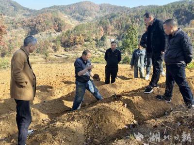 荒坡蝶变“聚宝盆”铺就老区致富路——英山移动驻村工作队探索产业转型新路径