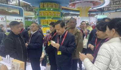 黄梅县亮相2025湖北农博会：农文旅融合展“鱼米之乡”新活力