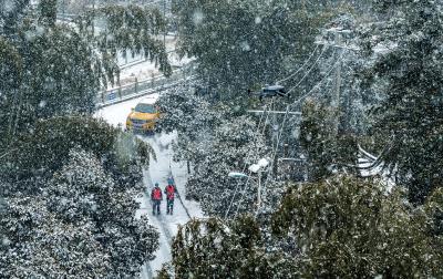 黄冈供电公司全力以赴战冰雪保供电