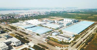 大别山麓仓廪实 鄂东粮策济城乡——黄冈市以粮食安全保障服务“依托都市圈、辐射大别山”战略落地观察