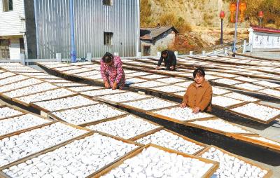 产业筑梦开新境 ——“十四五”黄冈推动县域特色产业集群化发展综述