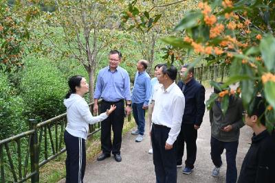 “数字番茄”让“麻城味道”走向全国 ——看麻城信安绿港数字农业产业园如何“科技种田”