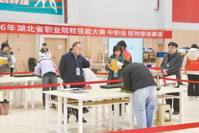 黄冈职院在省技能大赛上勇夺一金