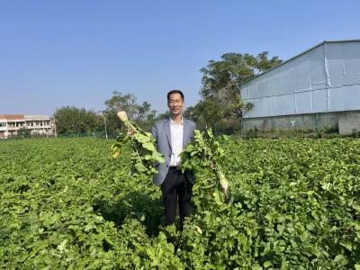 黄州萝卜变身“金疙瘩” ——“兵支书”赵小雷扎根乡野蹚出致富路