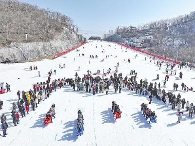 建设区域中心城市怎么干