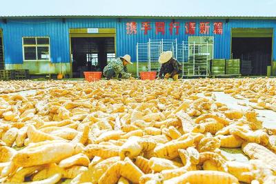 链通大别山 货出罗田旺 ——罗田县以“三链融合”推动山货出山赋能乡村振兴的实践探索