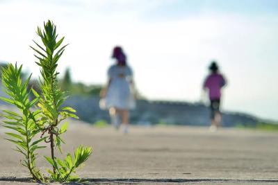 听见 | 最美的遇见