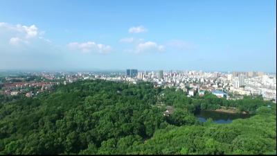 黄州新闻20260127