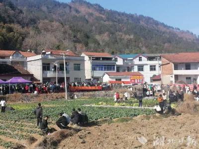 娜娜的“幌子酒”香满鄂东 浓浓的过年味奔向乡村