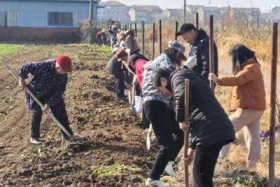 黄梅丝瓜络产业园开工 乡亲成主力 “以工代赈”拓富路