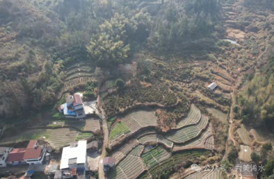 科技小院“点绿成金” 油茶亩产翻番