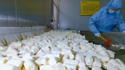 山药产业的“链”式跃进