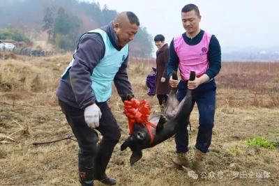 美好“粥”愿・“鱼”你乡约新春捉年鱼暨腊八节民俗系列体验活动开幕
