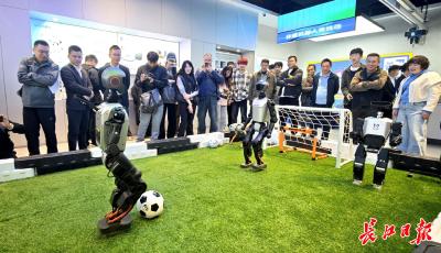 8提人工智能，武汉市政府工作报告“含AI量”为何这么高