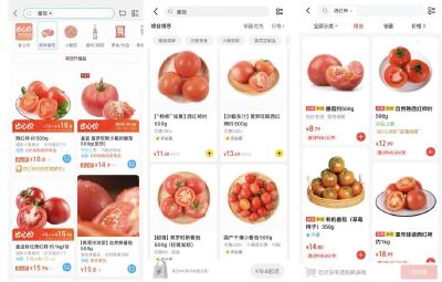 西红柿价格何时回稳？